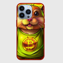 Чехол iPhone 13 Pro Хомячок и криптоактив