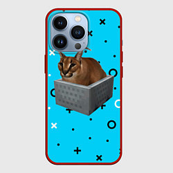 Чехол для iPhone 13 Pro Шлепа в коробке, цвет: 3D-красный