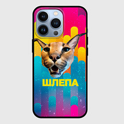 Чехол для iPhone 13 Pro Голова Шлепы, цвет: 3D-черный