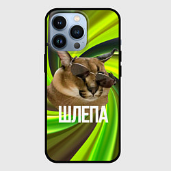 Чехол для iPhone 13 Pro Шлепа в очках, цвет: 3D-черный