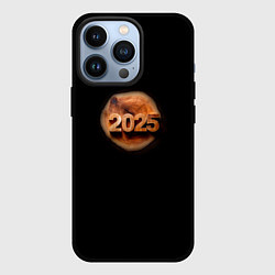 Чехол для iPhone 13 Pro 2025 год на деревянном спиле, цвет: 3D-черный