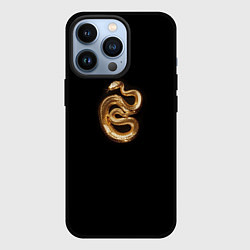 Чехол для iPhone 13 Pro Золотая змея символ 2025 года, цвет: 3D-черный