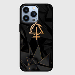 Чехол для iPhone 13 Pro Behemoth golden poly, цвет: 3D-черный