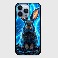 Чехол для iPhone 13 Pro Заяц в разрядах молний, цвет: 3D-черный