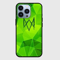 Чехол для iPhone 13 Pro Watch Dogs green poly, цвет: 3D-черный