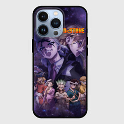Чехол для iPhone 13 Pro Доктор Камень, цвет: 3D-черный