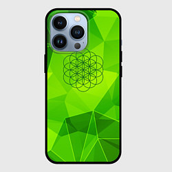 Чехол для iPhone 13 Pro Coldplay green poly, цвет: 3D-черный