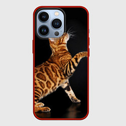 Чехол для iPhone 13 Pro Бенгальская кошка, цвет: 3D-красный