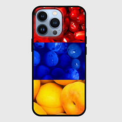 Чехол для iPhone 13 Pro Флаг Армении, цвет: 3D-черный
