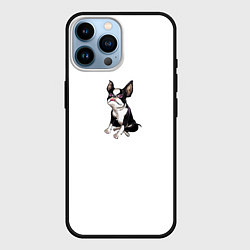 Чехол для iPhone 14 Pro Max Iggy, цвет: 3D-черный