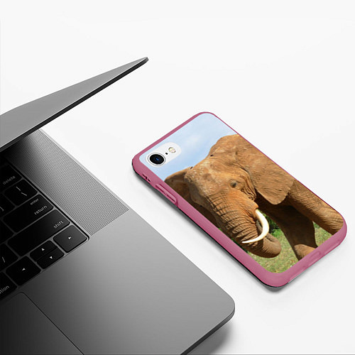 Чехол iPhone 7/8 матовый Рыжий слон / 3D-Малиновый – фото 3