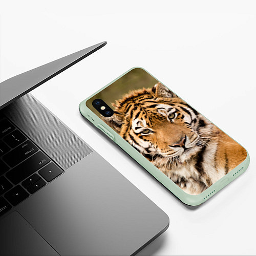 Чехол iPhone XS Max матовый Милый тигр / 3D-Салатовый – фото 3