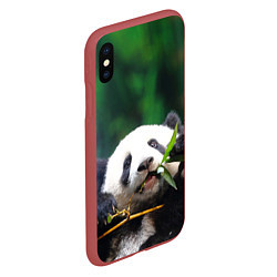 Чехол iPhone XS Max матовый Панда на ветке, цвет: 3D-красный — фото 2