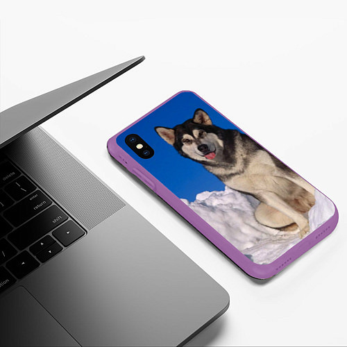 Чехол iPhone XS Max матовый Аляскинский маламут / 3D-Фиолетовый – фото 3