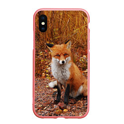 Чехол iPhone XS Max матовый Осенняя лиса, цвет: 3D-баблгам
