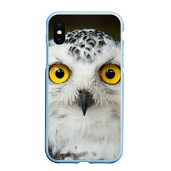 Чехол iPhone XS Max матовый Белый филин, цвет: 3D-голубой