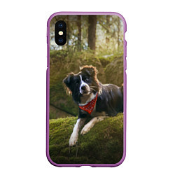 Чехол iPhone XS Max матовый Собачка на траве, цвет: 3D-фиолетовый