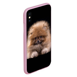 Чехол iPhone XS Max матовый Рыжий Шпиц, цвет: 3D-розовый — фото 2