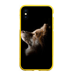 Чехол iPhone XS Max матовый Пес, цвет: 3D-желтый