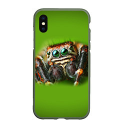Чехол iPhone XS Max матовый ПАУК ВБЛИЗИ, цвет: 3D-темно-зеленый