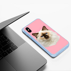 Чехол iPhone XS Max матовый Пушистый кот, цвет: 3D-голубой — фото 2