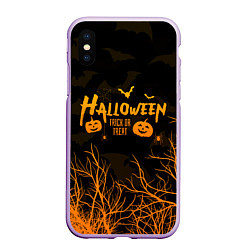 Чехол iPhone XS Max матовый HALLOWEEN FOREST BATS ЛЕТУЧИЕ МЫШИ В ЛЕСУ ХЕЛЛОУИН, цвет: 3D-сиреневый