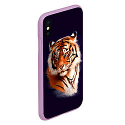 Чехол iPhone XS Max матовый Грозный Тигр Символ 2022 Года Tiger Beast, цвет: 3D-сиреневый — фото 2