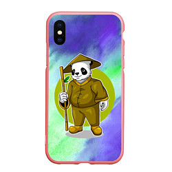 Чехол iPhone XS Max матовый Мудрая Кунг фу панда, цвет: 3D-баблгам