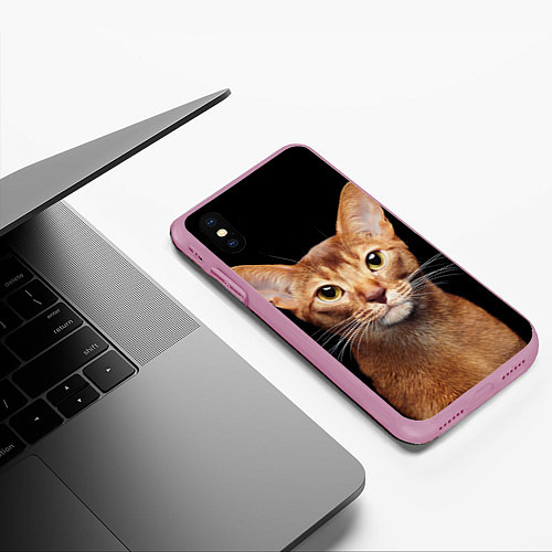 Чехол iPhone XS Max матовый Молодая абиссинская кошечка / 3D-Розовый – фото 3