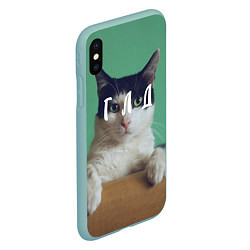 Чехол iPhone XS Max матовый Мем с котом - голод, цвет: 3D-мятный — фото 2