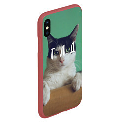 Чехол iPhone XS Max матовый Мем с котом - голод, цвет: 3D-красный — фото 2