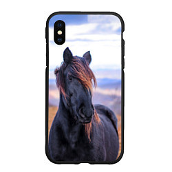 Чехол iPhone XS Max матовый Черный конь, цвет: 3D-черный