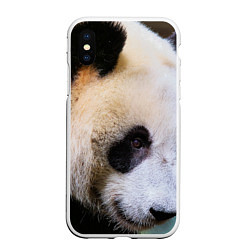 Чехол iPhone XS Max матовый Загадочная панда, цвет: 3D-белый