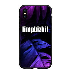 Чехол iPhone XS Max матовый Limp Bizkit neon monstera, цвет: 3D-черный