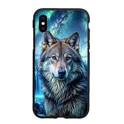 Чехол iPhone XS Max матовый Волк и водопад, цвет: 3D-черный