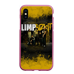 Чехол iPhone XS Max матовый Limp Bizkit: Gold Street, цвет: 3D-малиновый