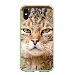 Чехол iPhone XS Max матовый Взгляд кошки