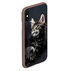 Чехол iPhone XS Max матовый Кошечка, цвет: 3D-коричневый — фото 2