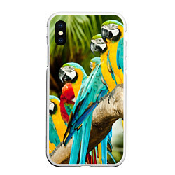 Чехол iPhone XS Max матовый Попугаи на ветке, цвет: 3D-белый