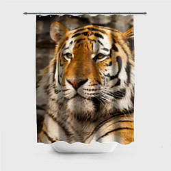 Шторка для душа Мудрый тигр, цвет: 3D-принт