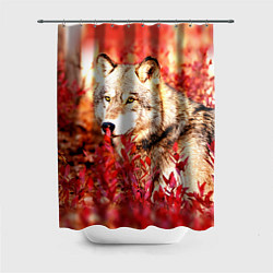 Шторка для душа Осенний волк, цвет: 3D-принт