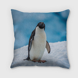Подушка квадратная Пингвин на айсберге, цвет: 3D-принт