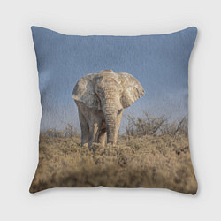 Подушка квадратная Африканский белый слон, цвет: 3D-принт