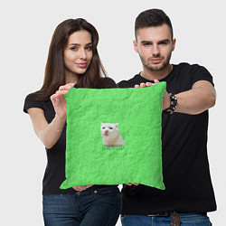 Подушка квадратная Приемлемо кот мем, цвет: 3D-принт — фото 2