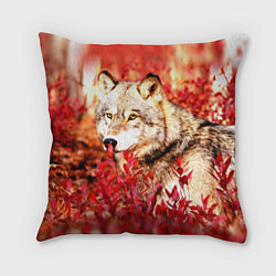 Подушка квадратная Осенний волк, цвет: 3D-принт