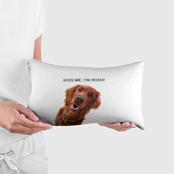 Подушка-антистресс Ирландский сеттер, цвет: 3D-принт — фото 2