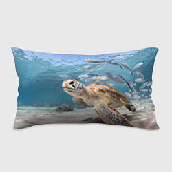Подушка-антистресс Морская черепаха, цвет: 3D-принт