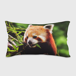 Подушка-антистресс Красная милая панда, цвет: 3D-принт