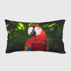 Подушка-антистресс Красный попугай Ара, цвет: 3D-принт