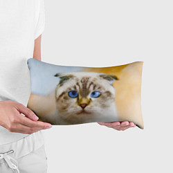 Подушка-антистресс Кошка породы шотландская вислоухая косоглазая, цвет: 3D-принт — фото 2